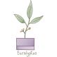 Vintage Sketch Herbs 2 Machine Embroidery Designs By JuJu