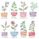Vintage Sketch Herbs 2 Machine Embroidery Designs By JuJu