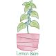 Vintage Sketch Herbs 4 Machine Embroidery Designs by JuJu
