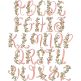 Vineyard Vine Alphabet | Machine Embroidery Designs by JuJu