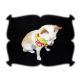 No Dip Dog Bandana
