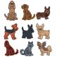 Top Dogs Applique Set 5 Machine Embroidery Designs by JuJu