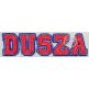 Raggy Double Varsity Applique Font | Machine Embroidery Designs by JuJu