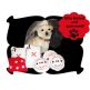 Lucky Pup Casino Toys