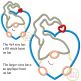 Gnome in Heart Boy Applique Design | Machine Embroidery Designs by JuJu