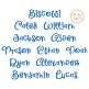 Biscotti Embroidery Font Digital Machine Embroidery Designs by JuJu