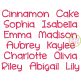 Cinnamon Cake Embroidery Font