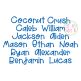 Coconut Crush Embroidery Font