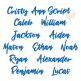 Cristy Ann Script Embroidery Font | Machine Embroidery Designs by JuJu