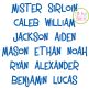 Mister Sirloin Embroidery Font | Machine Embroidery Designs by JuJu