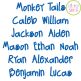 Monkey Tails Embroidery Font | Machine Embroidery Designs by JuJu