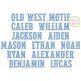 Old West Motif Embroidery Font | Machine Embroidery Designs by JuJu