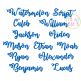 Watermelon Script Embroidery Font