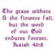 Isaiah 40:8