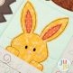 In The Hoop Woodland Patchy Pillow Bean Stitch Project | Designs by JuJu