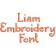 Liam Embroidery Font Machine Embroidery Designs by JuJu