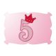 Birthday Princess Numbers | Machine Embroidery Designs by JuJu