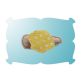 Seashell Snap Clip Mini | Machine Embroidery Designs by JuJu