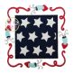 Patriotic Applique Frame | Machine Embroidery Designs by JuJu