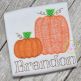 Pumpkin Pair Zig Zag Applique | Machine Embroidery Designs by JuJu