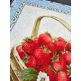 Strawberries End-to-End Quilting Embroidery Design