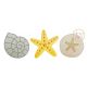 Seashell Trio Sketch | Machine Embroidery Designs by JuJu