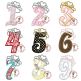 Tiara Numbers Applique | Machine Embroidery Designs by JuJu