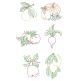 Vintage Produce Machine Embroidery Designs by JuJu