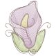 Vintage Sketch Flowers 2 Machine Embroidery Designs by JuJu