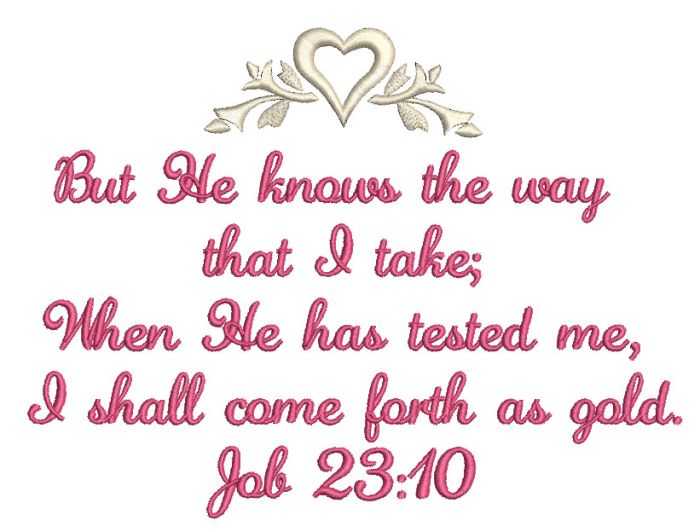Job 23:10