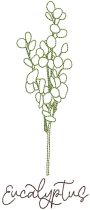 Herbal Redwork 2 | Machine Embroidery Designs by JuJu