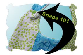 Snaps 101 Tutorial