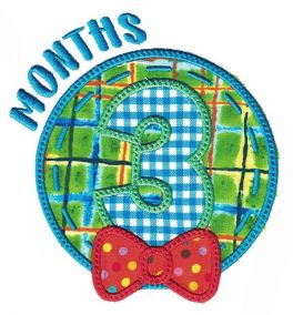 Boy Months Applique Machine Embroidery Designs by JuJu 