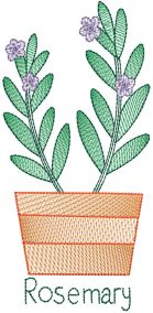 Vintage Sketch Herbs 1 Machine Embroidery Designs By JuJu