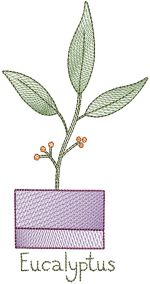 Vintage Sketch Herbs 2 Machine Embroidery Designs By JuJu