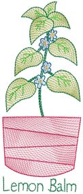 Vintage Sketch Herbs 4 Machine Embroidery Designs by JuJu