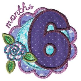 Girl Months Applique Machine Embroidery Designs by JuJu 