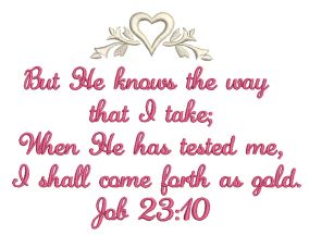 Job 23:10