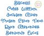 Biscotti Embroidery Font Digital Machine Embroidery Designs by JuJu