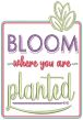 Farm Fresh Life 1 Machine Embroidery Designs by JuJu