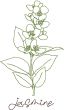 Herbal Redwork 3 | Machine Embroidery Designs by JuJu
