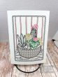 Just Because Greeting Cards Set 3