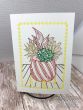 Just Because Greeting Cards Set 4