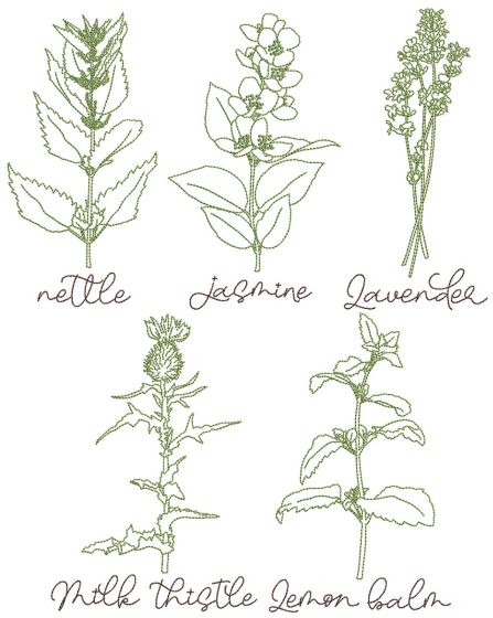 Herbal Redwork 3 | Machine Embroidery Designs by JuJu
