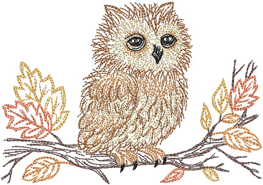 Harvest Owl Vintage Sketch | Machine Embroidery Designs by JuJu	