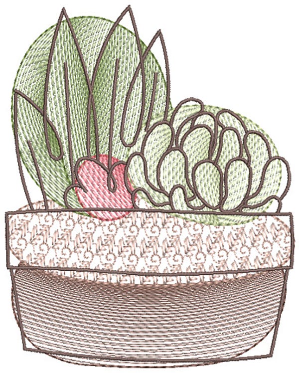 Sketch Succulents Digital Machine Embroidery Designs by JuJu