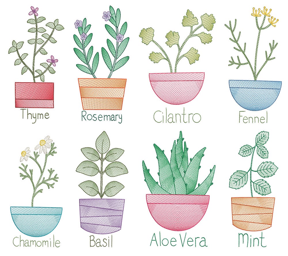 Vintage Sketch Herbs 1 Machine Embroidery Designs By JuJu