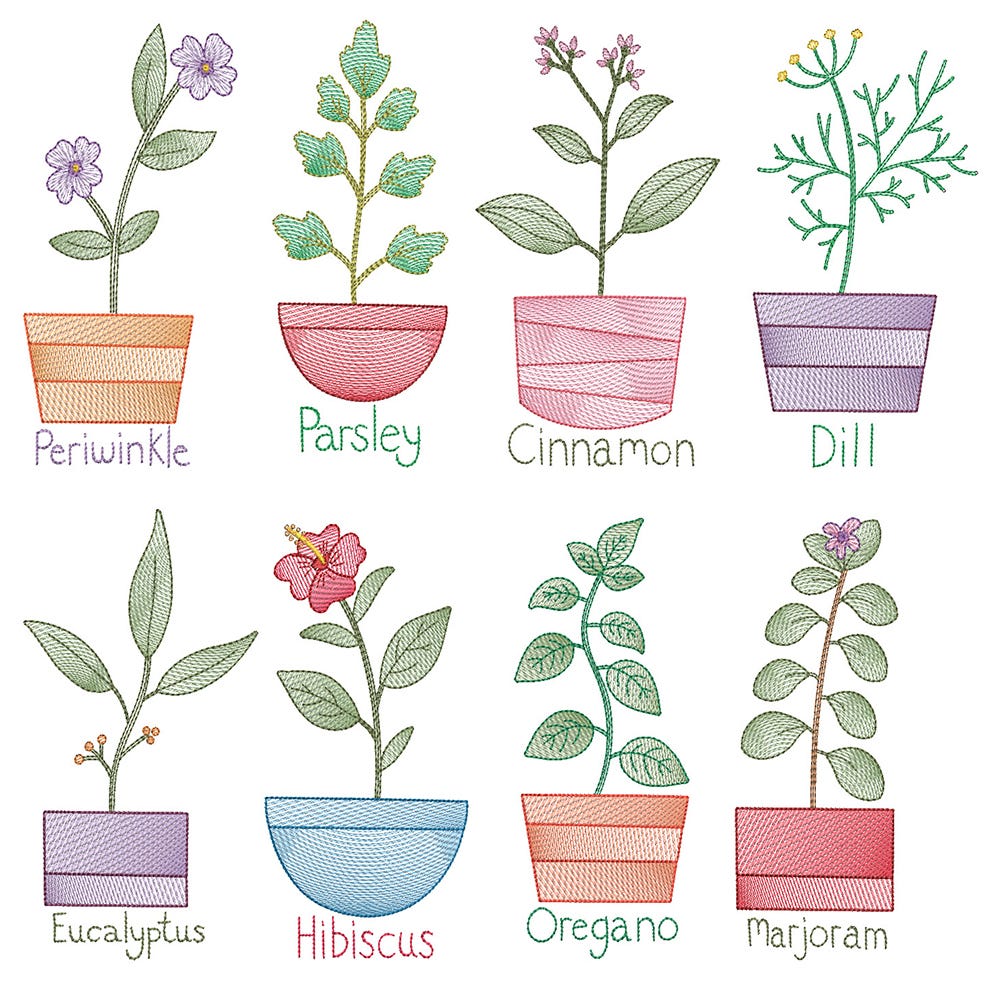 Vintage Sketch Herbs 2 Machine Embroidery Designs By JuJu