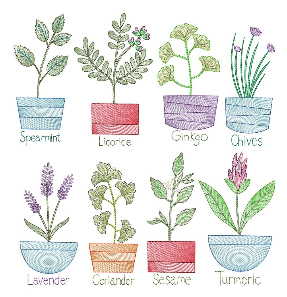 Vintage Sketch Herbs 3 Machine Embroidery Designs by JuJu