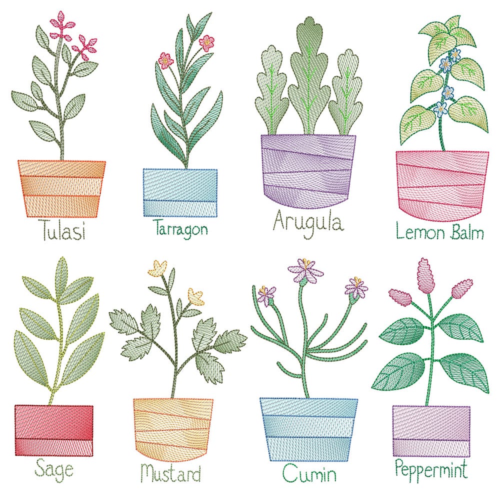 Vintage Sketch Herbs 4 Machine Embroidery Designs by JuJu